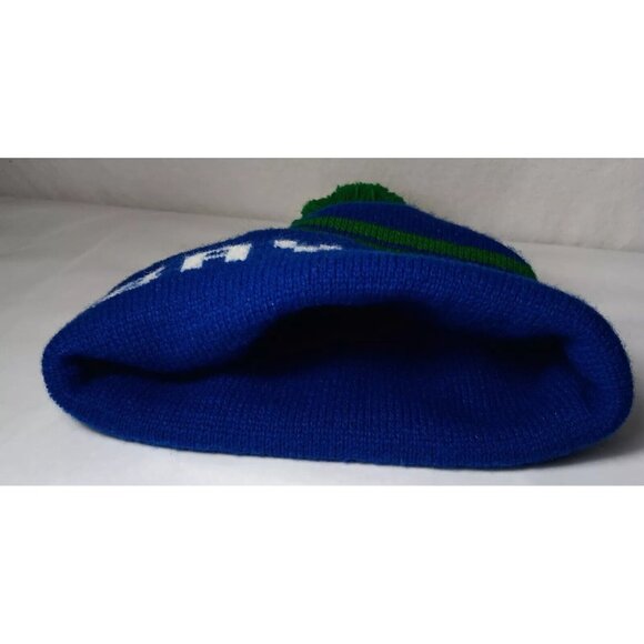 Bayer Pharmaceuticals Hat Knit Beanie Boggin Blue Green Pom Pom Vintage USA Made - Picture 5 of 11